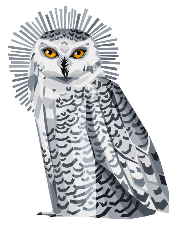 Ada the Snowy Owl is ADA's mascot.