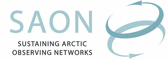 SAON logo
