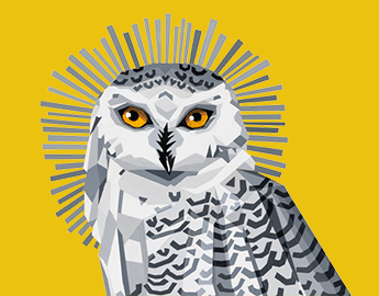 Ada the Snowy Owl is ADA's mascot